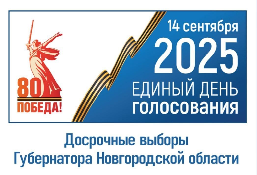 Досрочные выборы Губернатора Новгородской области.