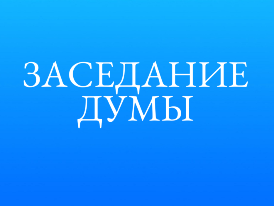 Заседание Думы.